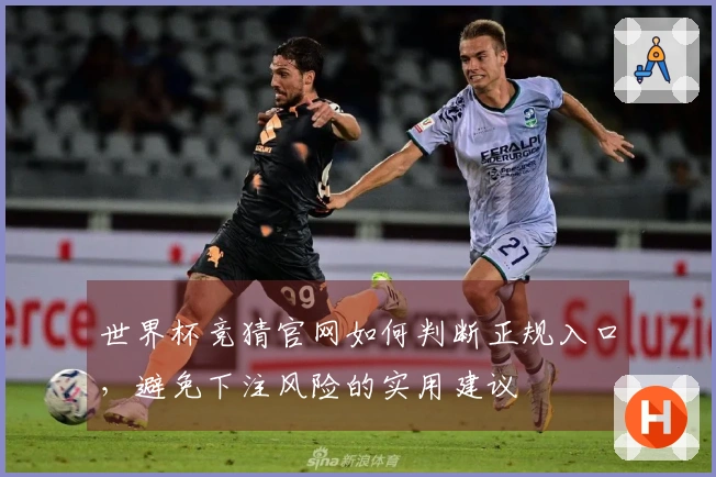 世界杯竞猜官网如何判断正规入口，避免下注风险的实用建议