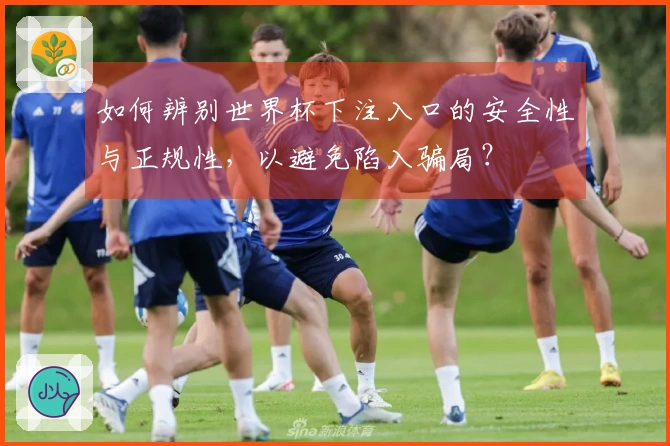 如何辨别世界杯下注入口的安全性与正规性，以避免陷入骗局？